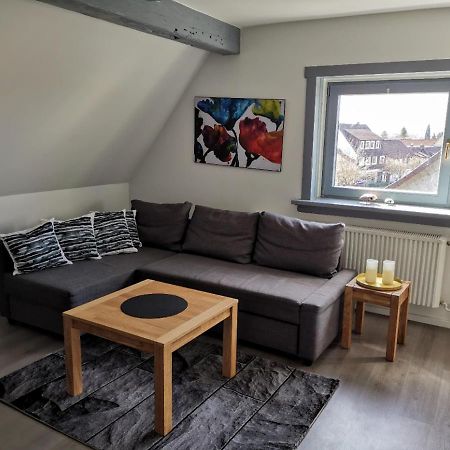 Schoene Ferienwohnung Fuer 6 Personen Erwartet Sie Im Oberharz ザンクト・アンドレーアスベルク エクステリア 写真