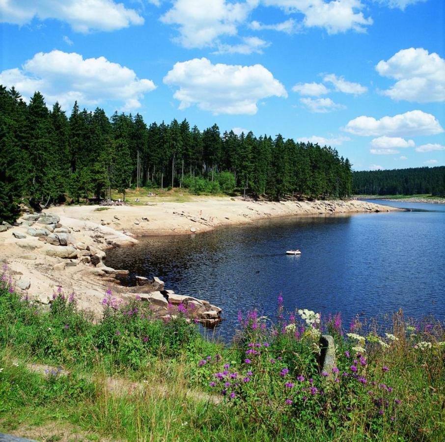 Schoene Ferienwohnung Fuer 6 Personen Erwartet Sie Im Oberharz ザンクト・アンドレーアスベルク エクステリア 写真
