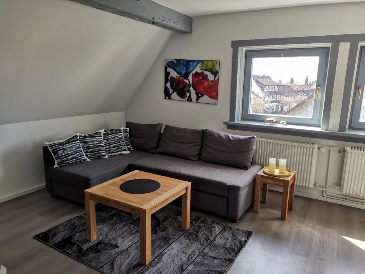 Schoene Ferienwohnung Fuer 6 Personen Erwartet Sie Im Oberharz ザンクト・アンドレーアスベルク エクステリア 写真